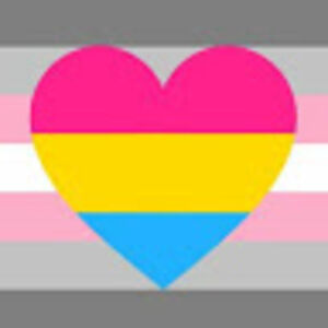 happytortoisepronounsshethey avatar