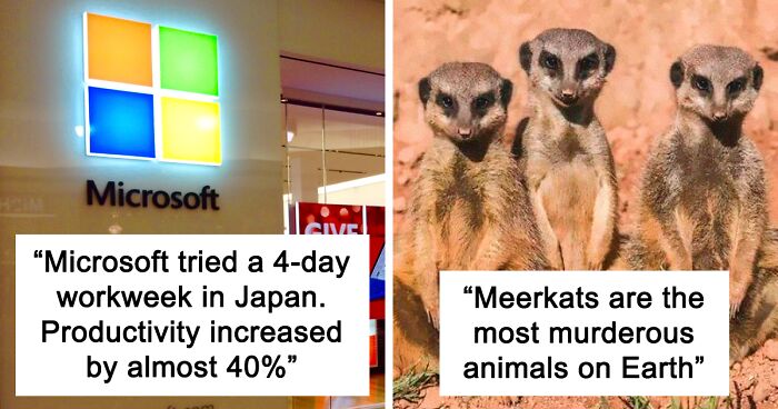 ‘Today I Learned’: 50 Interesting Things People Didn’t Learn At School (New Pics)