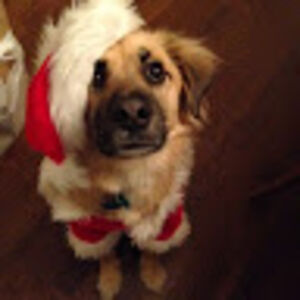 juliemccormack avatar