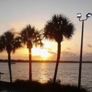 lettie_adkins avatar