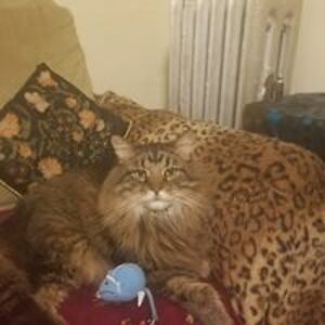 janet_heersema avatar