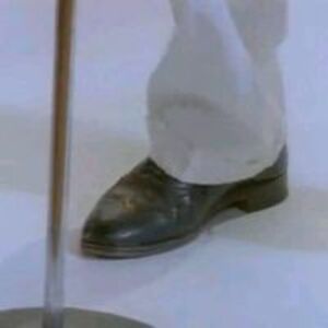 fadelabdurrahman95 avatar