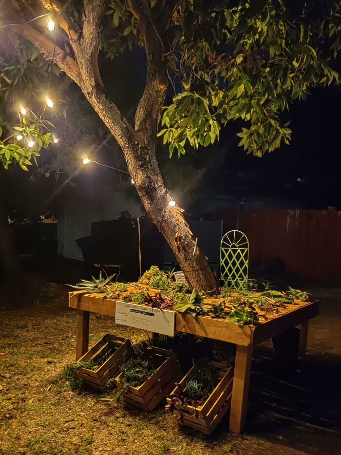 Neighborhood Succulent Exchange