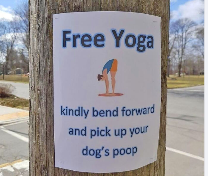 Free Yoga