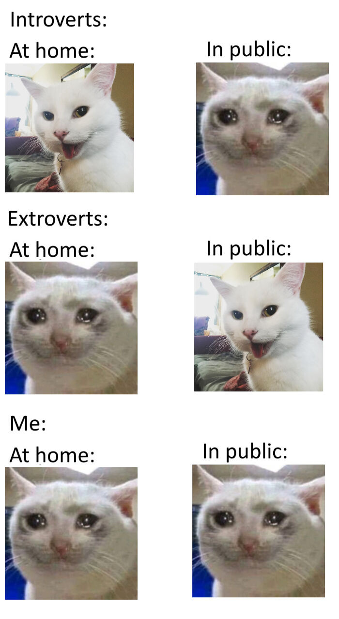 *cries In Introvert*