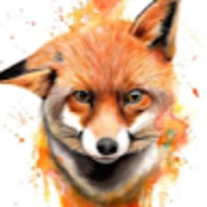 novalishercules avatar