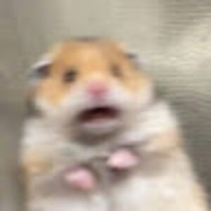 gillianpetersen avatar