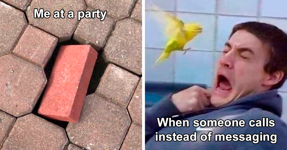 Funny introvert memes showing a brick out of place and a man scared of a bird representing social anxiety.