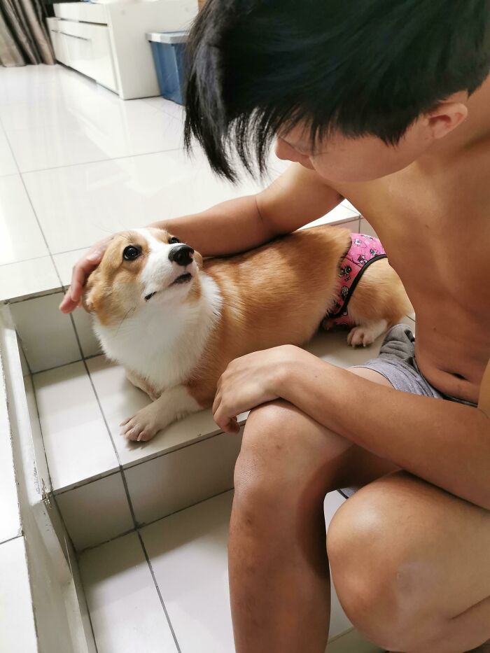 My Pup Doing A Morning Mirin