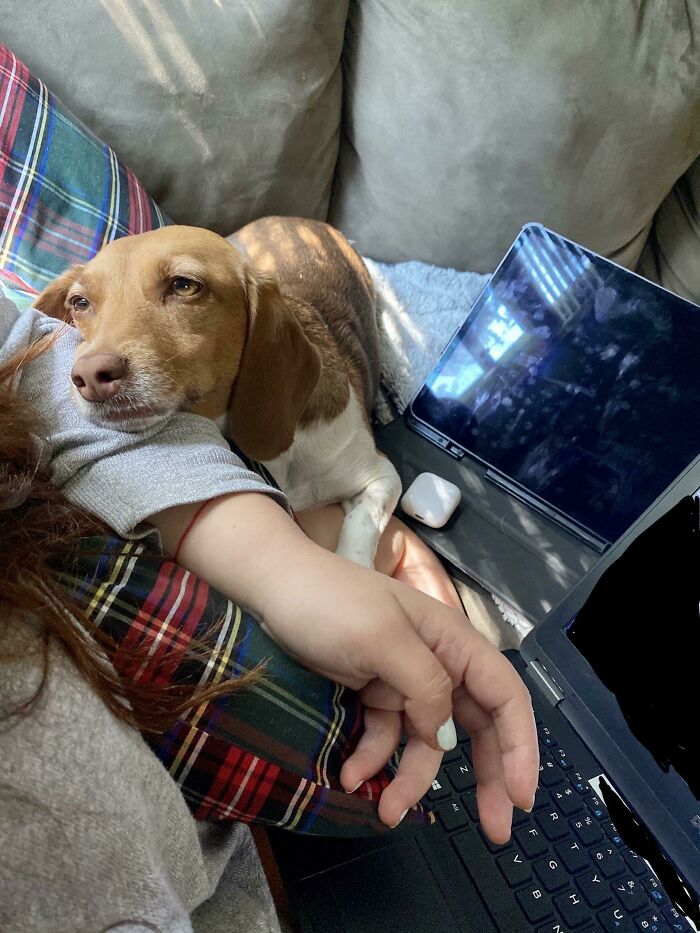 Abby Mirin Me While I Work