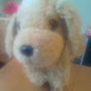 peytongriffin avatar