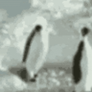 gabrielschlabach avatar