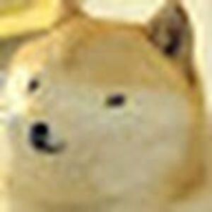 braydontanjinyan avatar