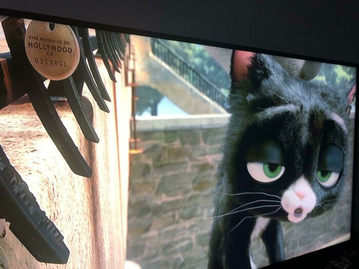 Bolt (2008). The Address On Bolt’s Tag Is For The Disney Animation Building