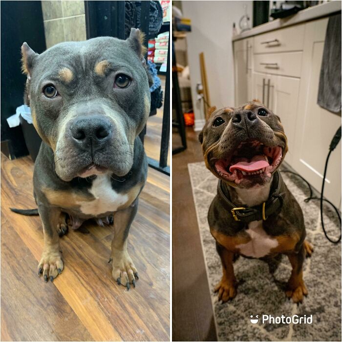 Our Little Medina, From The First Day We Met Until Now (1 Year Later)