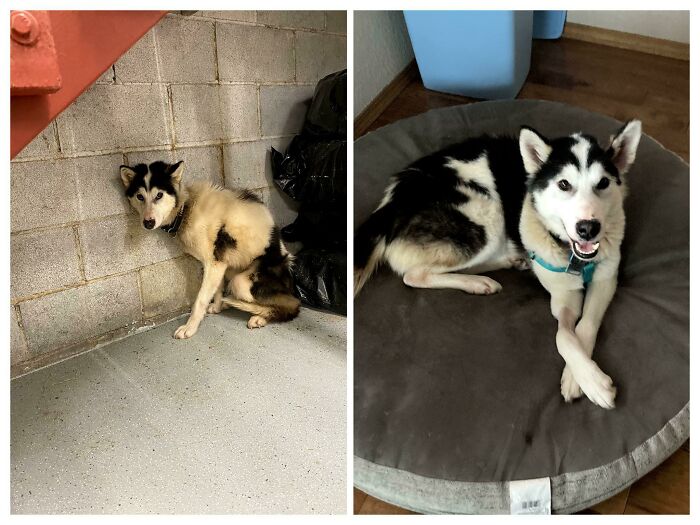 From Found Caught In A Snare To One Month Later