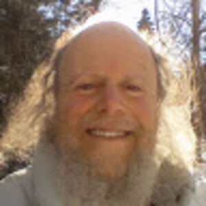 wylingcambrium avatar