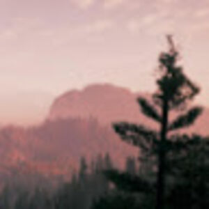 morganwilliamson avatar