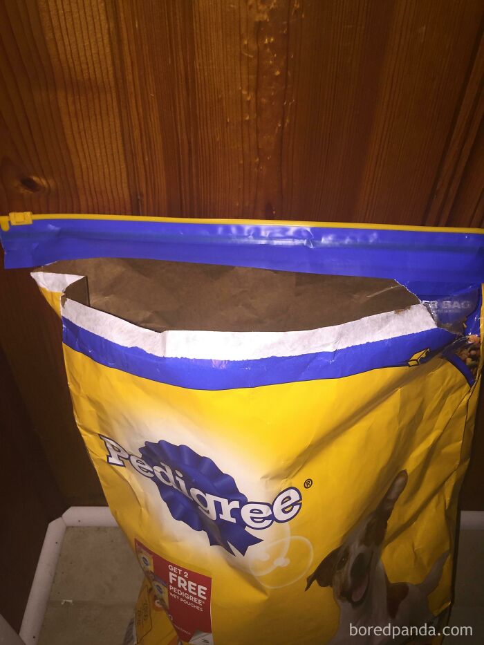 My Mother In Law Stopped By And Fed The Dog