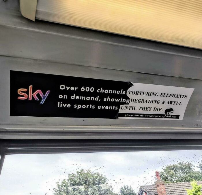 With This Sort Of Entertainment Why Wouldn’t You Pay £90 A Month