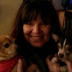 cindyschwarzbauer avatar