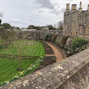 notacastironheart avatar