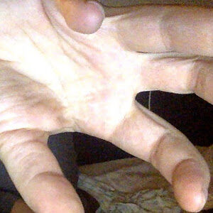 lexiepenaluna avatar