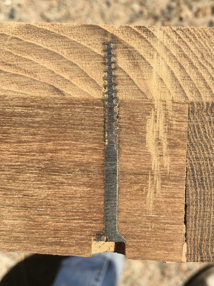 Accidentally Cross Sectioned A Screw In Wood.