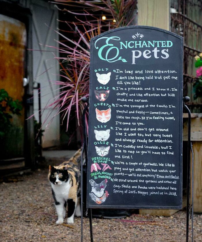 Local Plant Nursery Has A Guide To Their Pets That Roam Around Greeting Customers