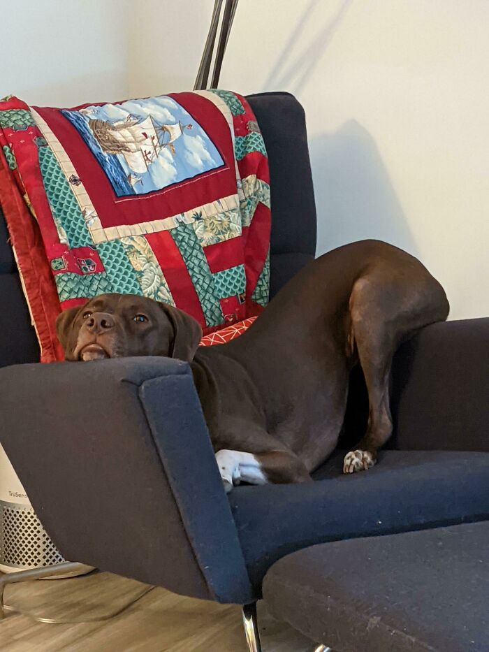 And He Wonders Why His Back Hurts All The Time