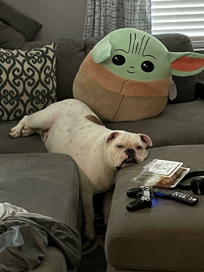 Nothing To See Here, Just A Potato Taking Root.