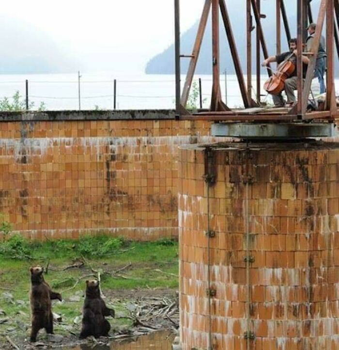 Animals-With-Threatening-Auras-Pics