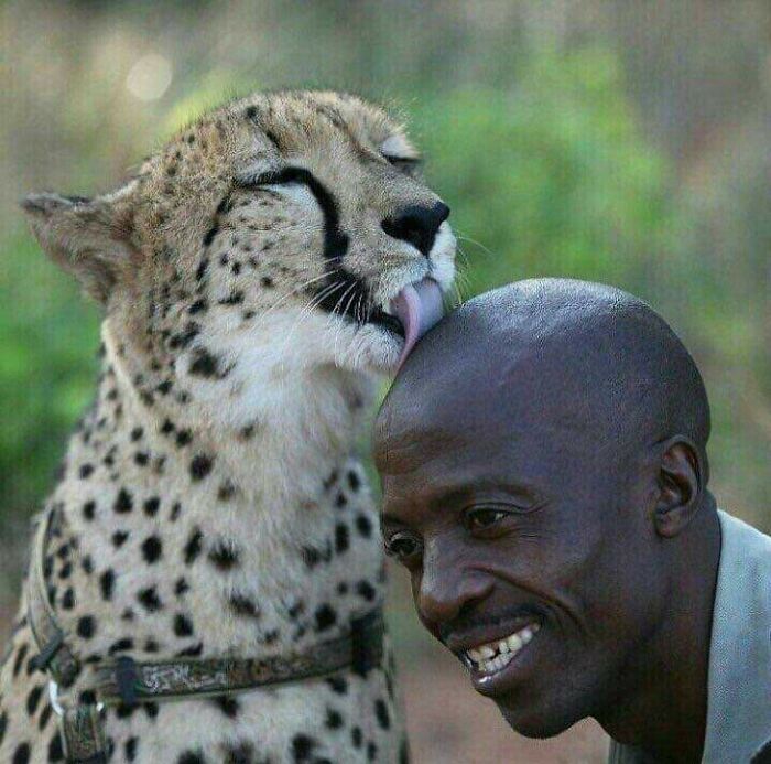 Animals-With-Threatening-Auras-Pics