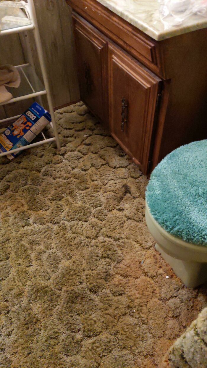 Again With Carpeted Bathrooms