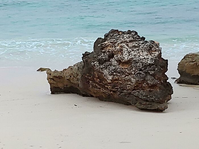 This Rock Looks Like A Decapitated Dragon's Head