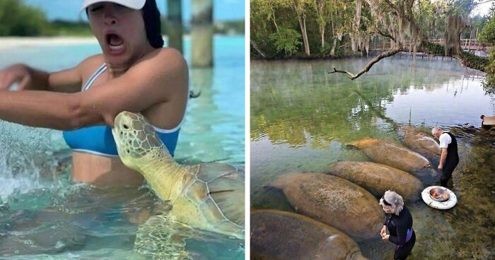 This Page Posts Pics Of Animals With Powerful Auras, And Here Are 50 Of The Most Interesting Pics (New Ones)