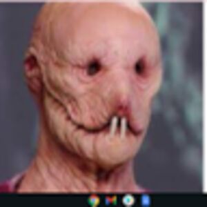 isabellaechevarria avatar