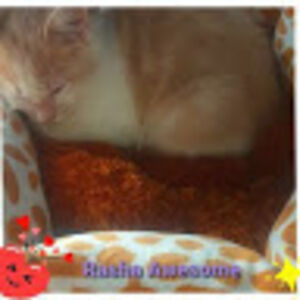 rashaawesomethecat3 avatar