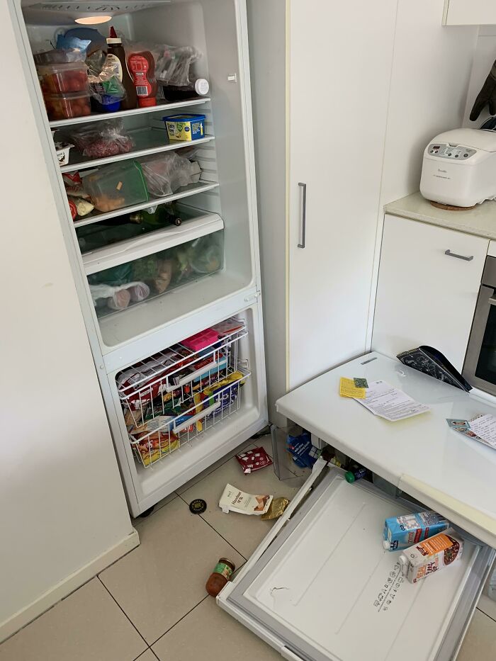 So My Fridge Doors Just Fell Off...