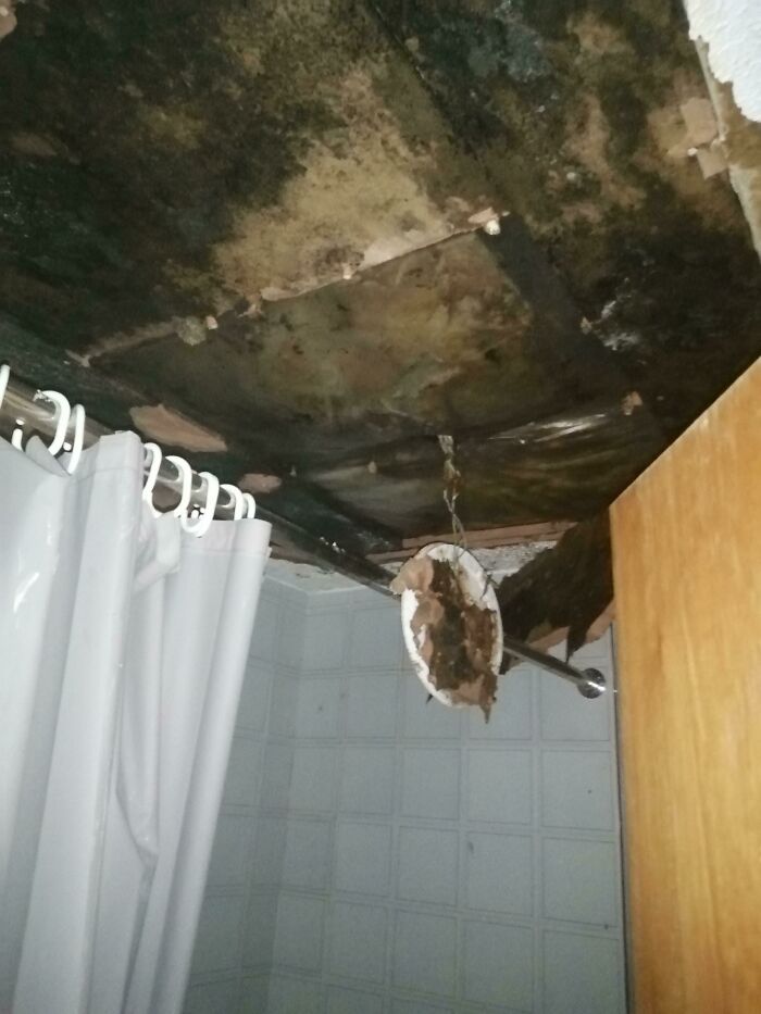 My Bathroom Ceiling Collapsed Today. Oh And It Turns Out There's A Black Mold Infestation. Lovely