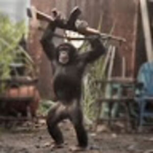 bradenfournier-tucceri avatar