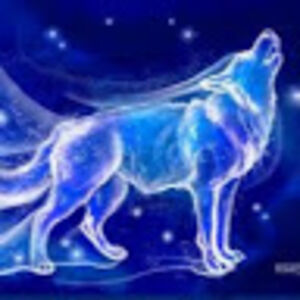 jessicaamendo avatar