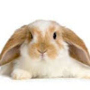 2027andrealbecker avatar