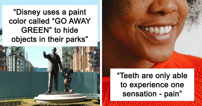 ‘Today I Learned’: 35 Interesting Things People Didn’t Learn At School (New Pics)