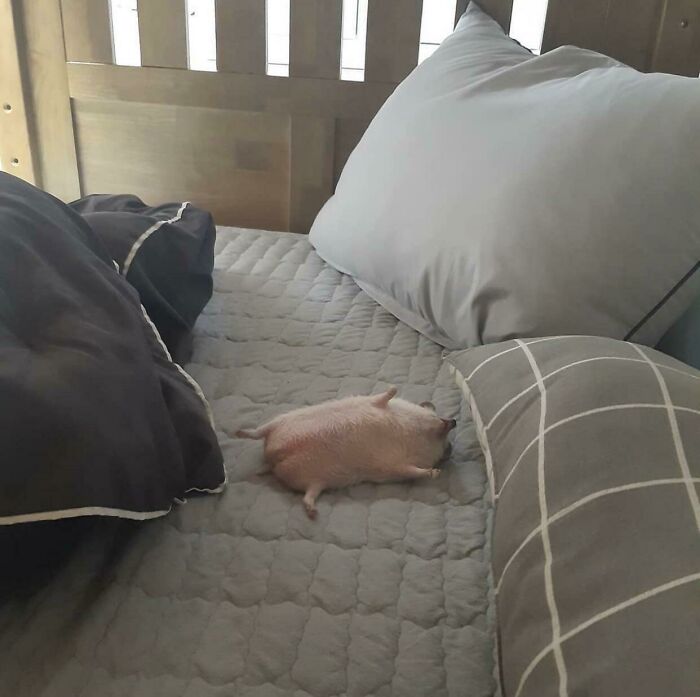 Me After An Exhausting Monday