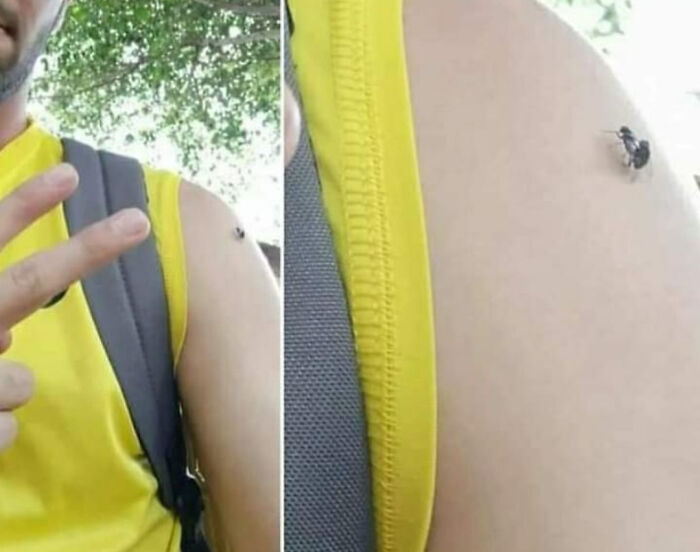 Ayooo Guess Who Had Threesome