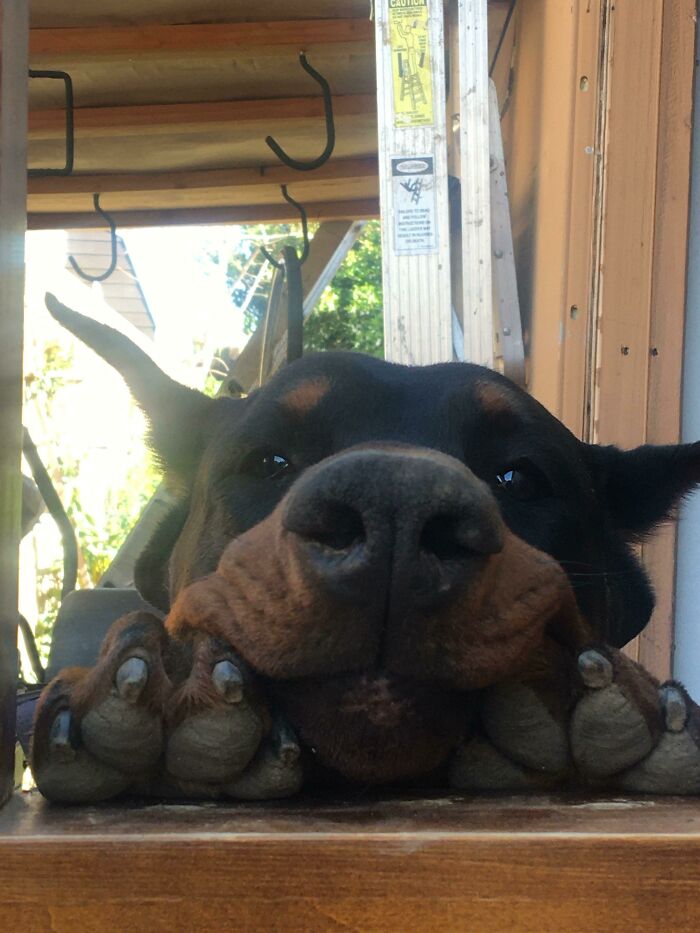 Cheeky Greetings Every Morning