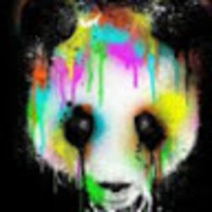 maddisonfiedler avatar