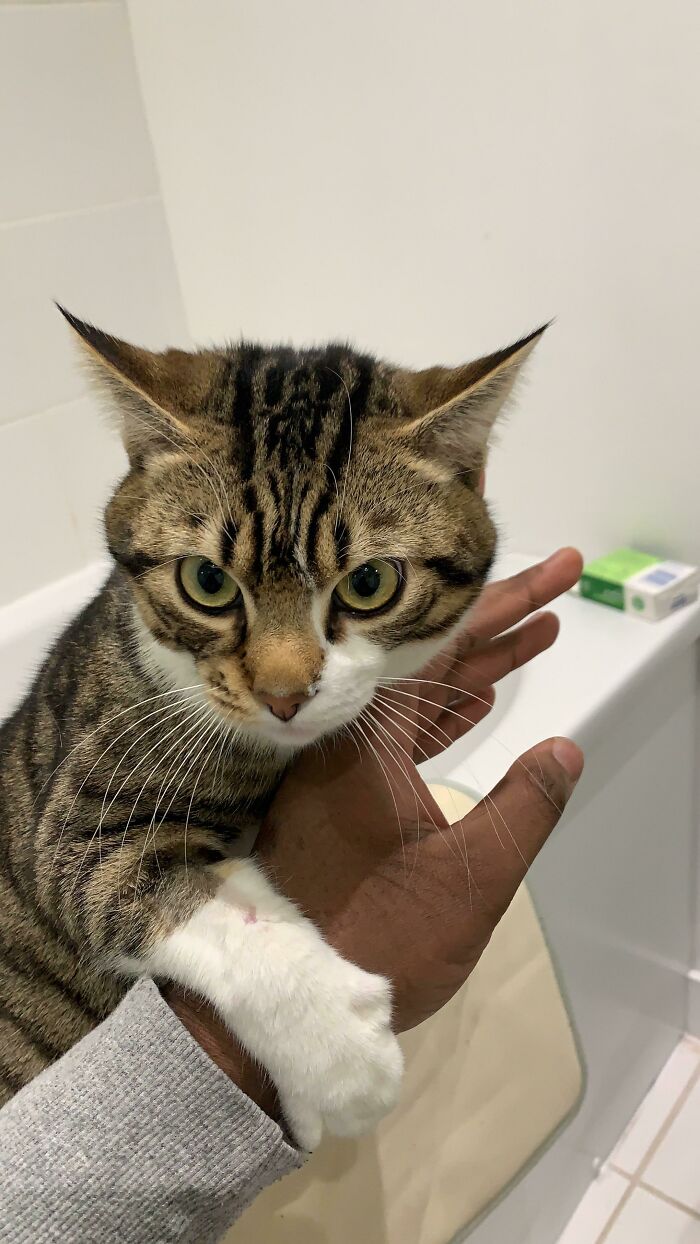 He Always Follows Me To The Bathroom, Today He Held My Hand
