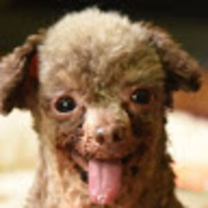 nathanhassett avatar